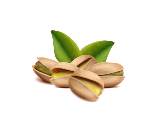 pistache