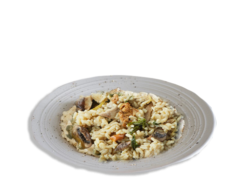 RISOTTO-VEGETARIANO