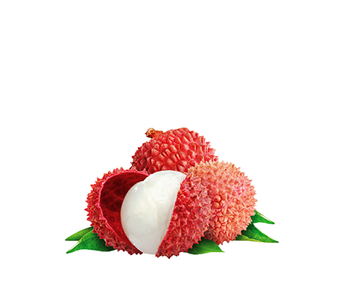 lytchee.