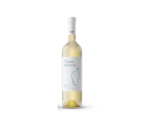 Vin blanc corse terra nativa.